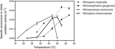 Niche differentiation among comammox (Nitrospira inopinata) and other metabolically distinct nitrifiers